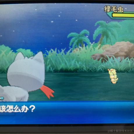 沃玛大魔王于2022-12-02 07:36发布的图片