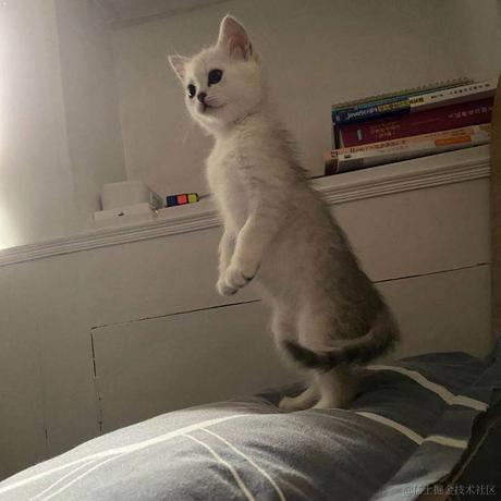 三岁i于2021-03-30 08:45发布的图片