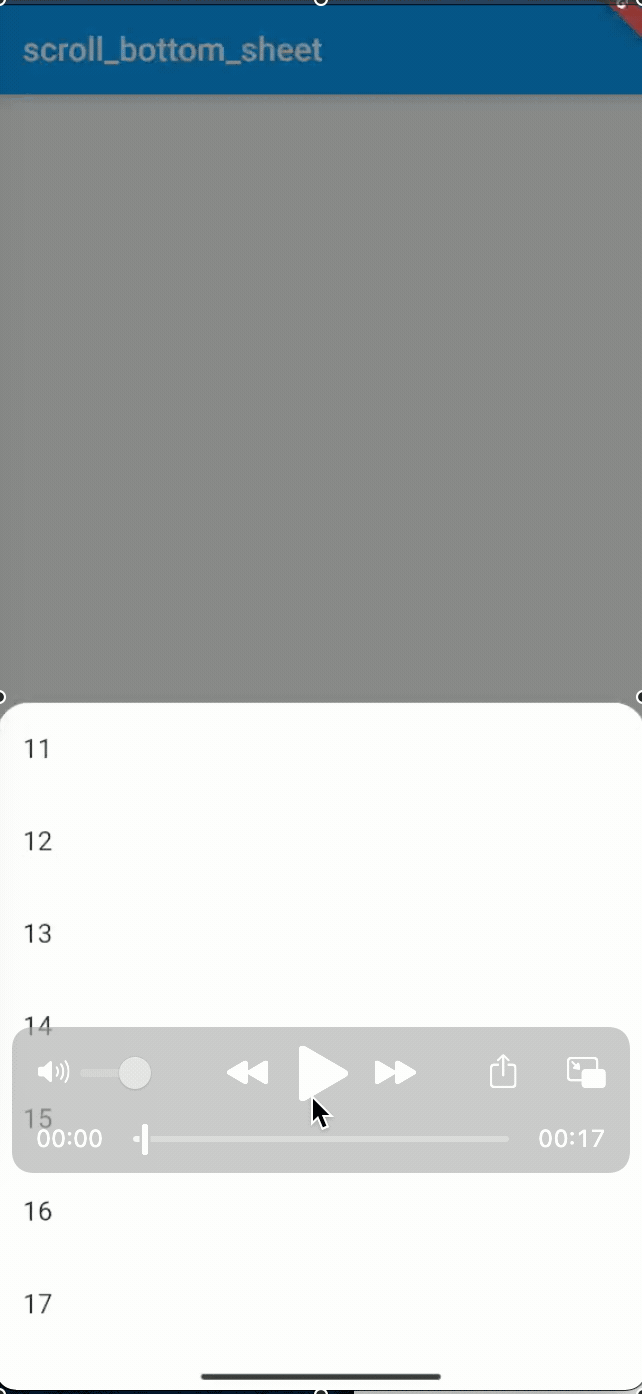 bottom_sheet.gif