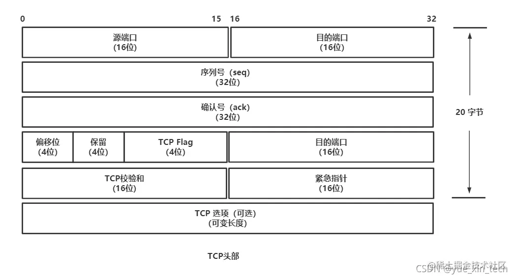 TCP 头部