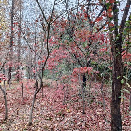 衿儿今天吃什么于2022-11-20 16:29发布的图片