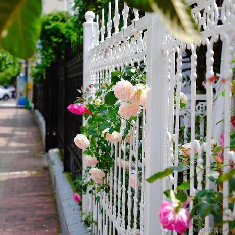 用户8995616986752于2023-04-21 12:02发布的图片