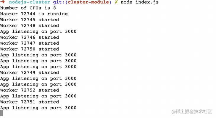 Screenshot of Nodejs cluster module