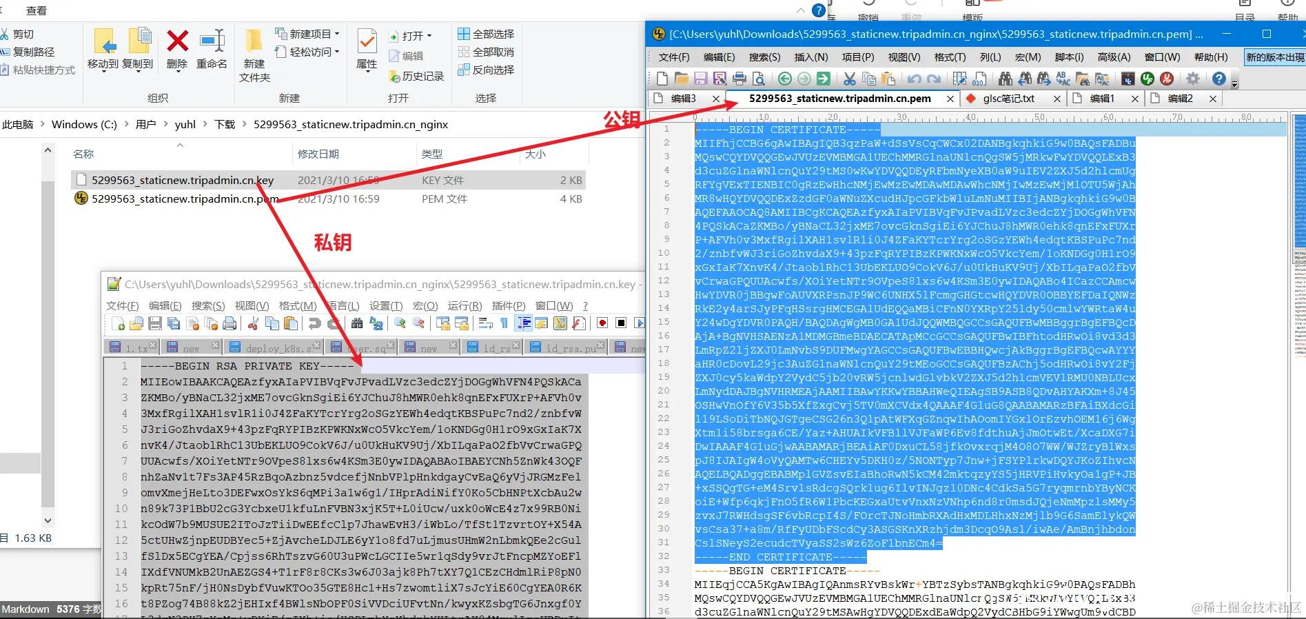在这里插入图片描述