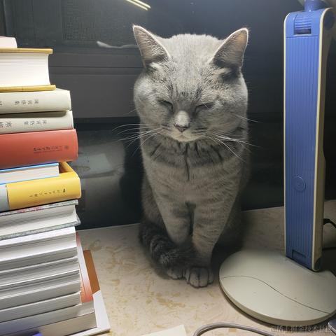 北冥养条鱼于2022-11-25 12:46发布的图片