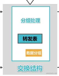 分组处理机构处理