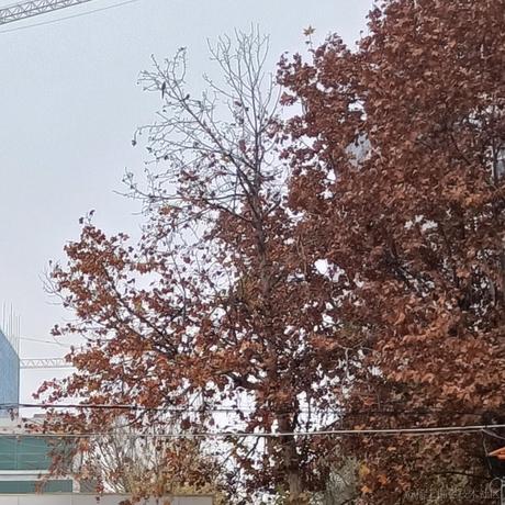 小碗顶晚喵于2022-11-24 22:34发布的图片