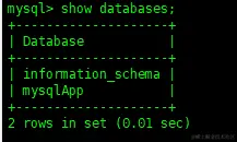 image-20210405080910542