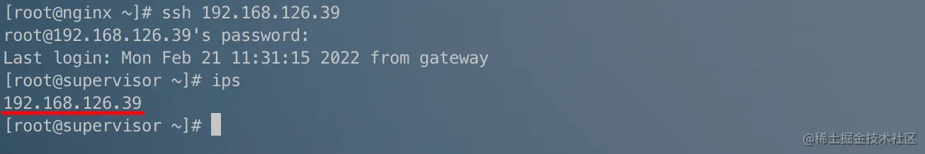 image-20220221113354833
