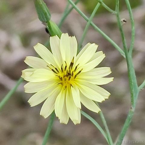 涛涛之海于2023-06-20 05:43发布的图片