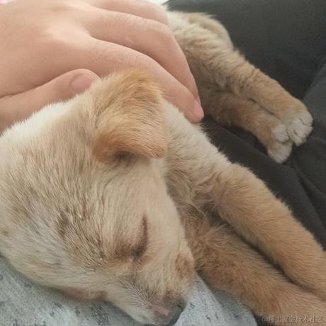 音速小向晚于2022-11-20 02:55发布的图片