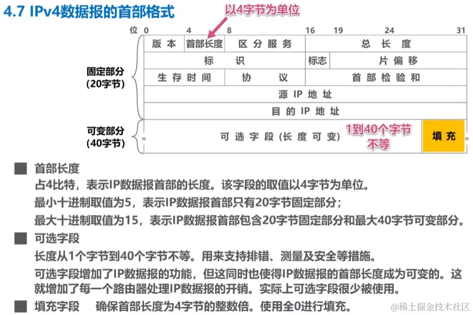 image-20230728044031035