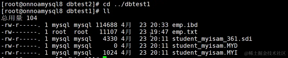 image-20240423204808232