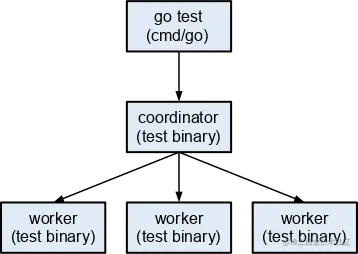 Diagram showing the relationship between fuzzing processes. At the top is a box showing "go test (cmd/go)". An arrow points downward to a box labelled "coordinator (test binary)". From that, three arrows point downward to three boxes labelled "worker (test binary)".