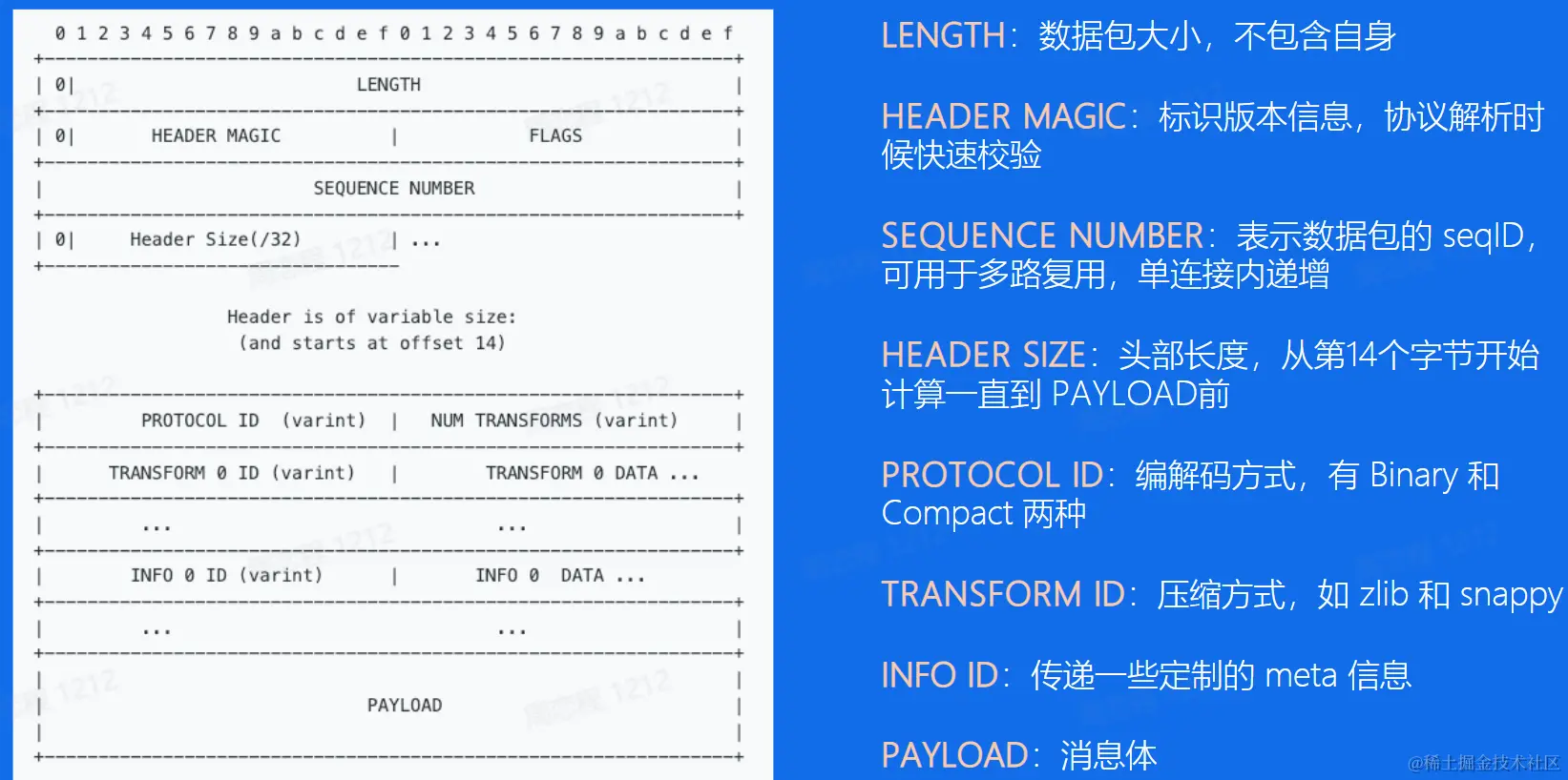 image-20230210114320028