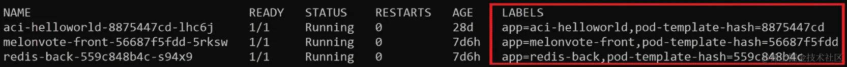 图 3.10：使用所有标签获取 kubectl get pods 的输出