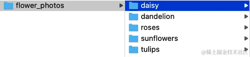 基于标签的图像文件组织