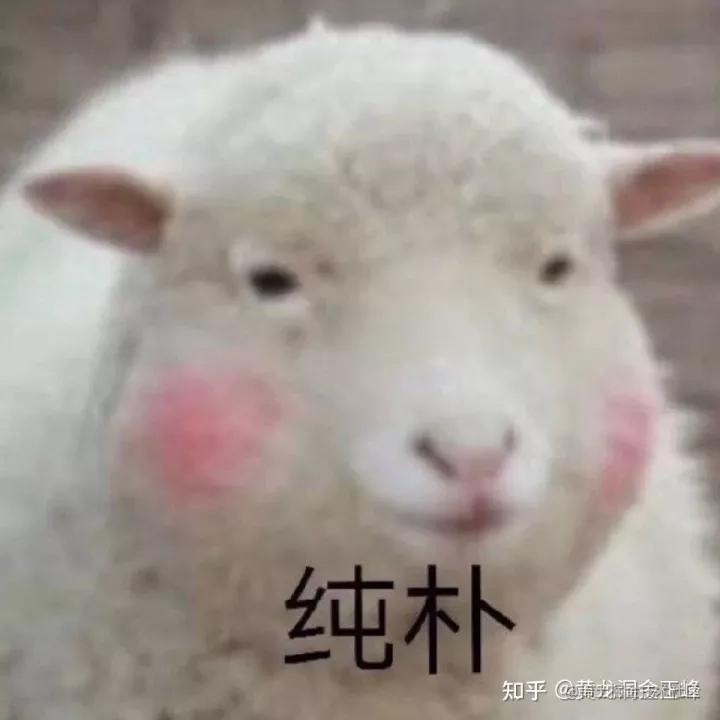 WEB 前端知识杂谈