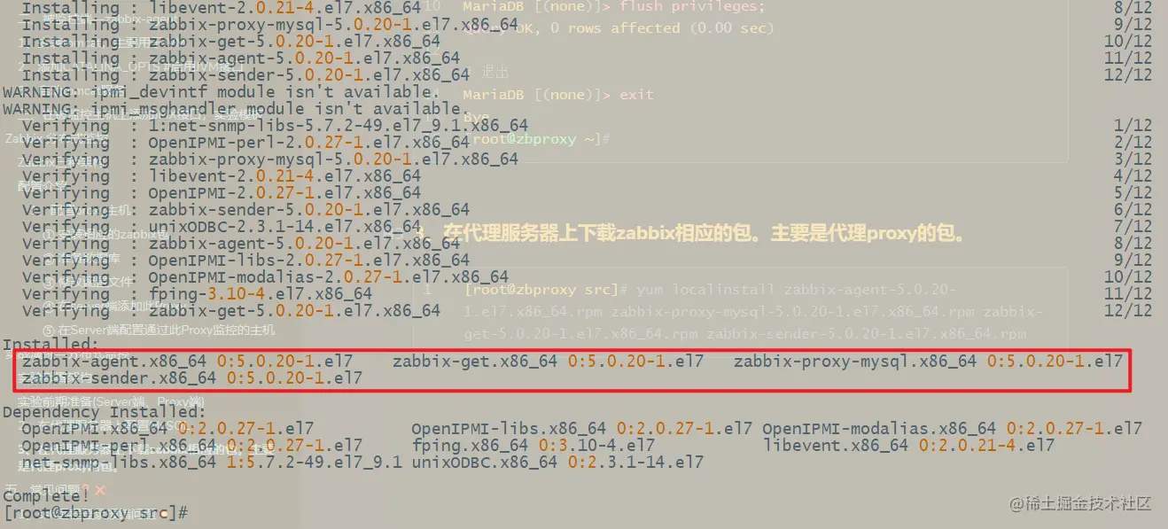 image-20220216162920326