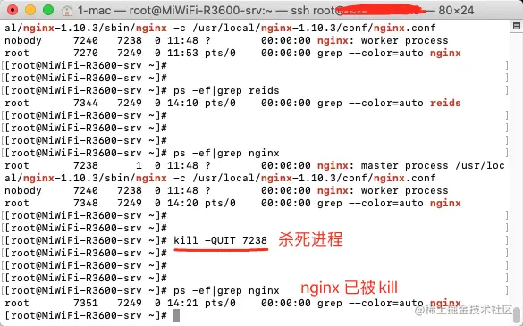 kill nginx进程
