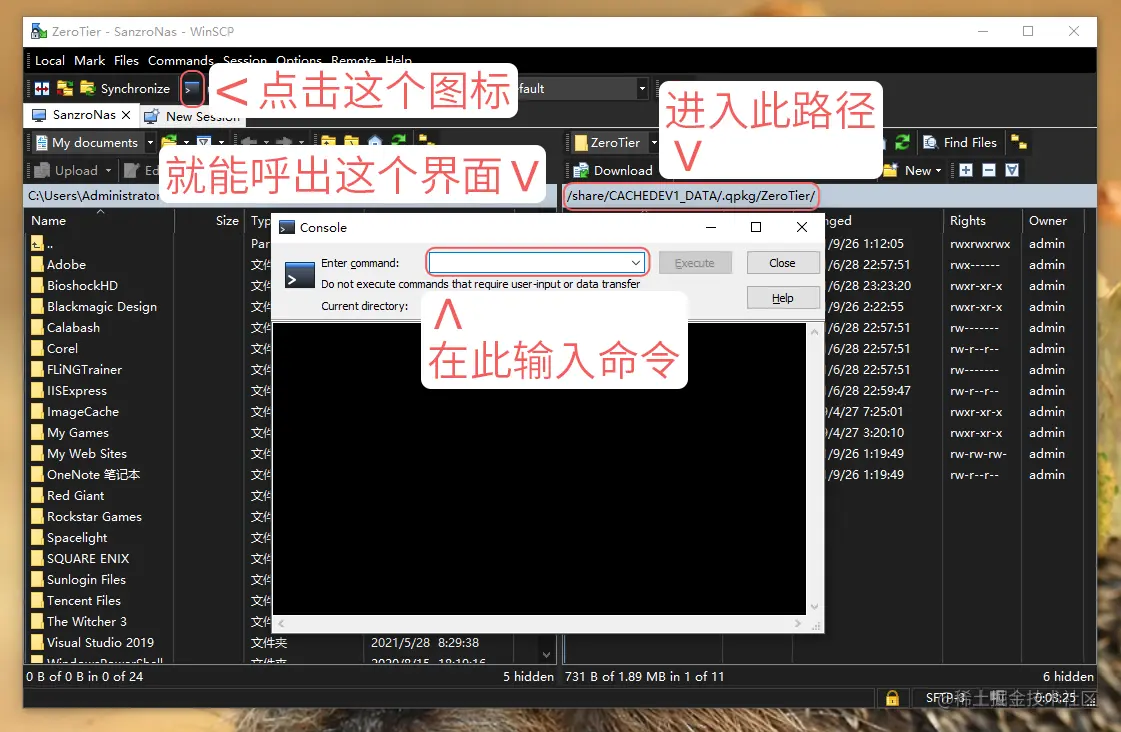 WinSCP 路径 & console 界面截图