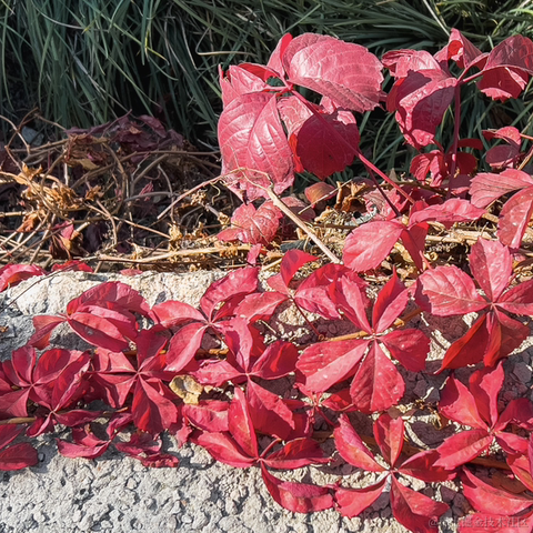 研究员于2023-10-27 14:15发布的图片