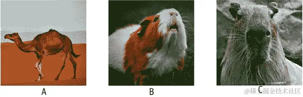 三种哺乳动物测验