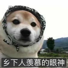 没事就拔刀于2023-05-06 14:49发布的图片