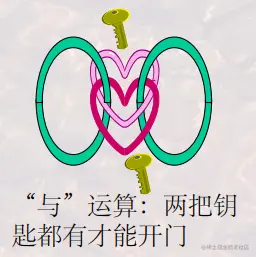 image-20211213215446938