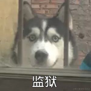 汪汪队长于2023-03-27 14:32发布的图片