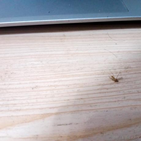 不思量自难忘于2021-09-04 23:36发布的图片