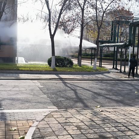 奶淇淋们有没有好好生活呢于2022-11-30 09:57发布的图片