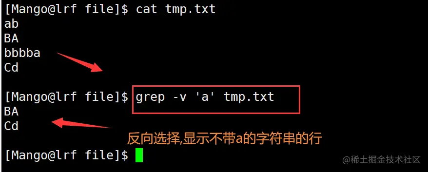 image-20220301195238987