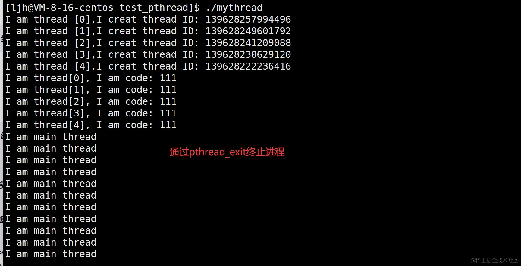 image-20240212211527269