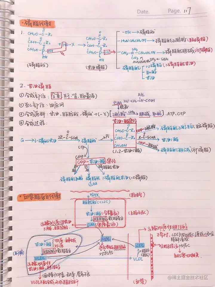生化手写笔记.pdf