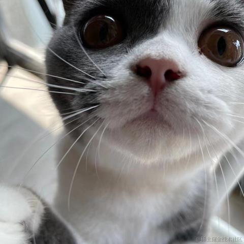 Livingbody于2021-10-27 19:22发布的图片