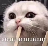 image-20230402203059412