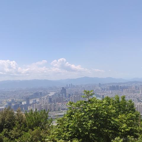 猫也吃鱼于2020-10-09 16:02发布的图片