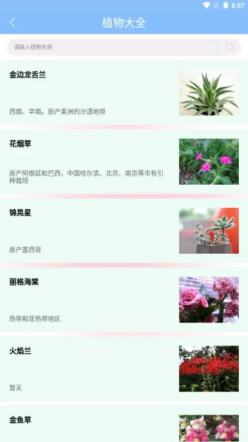 售票APP源码和设计报告