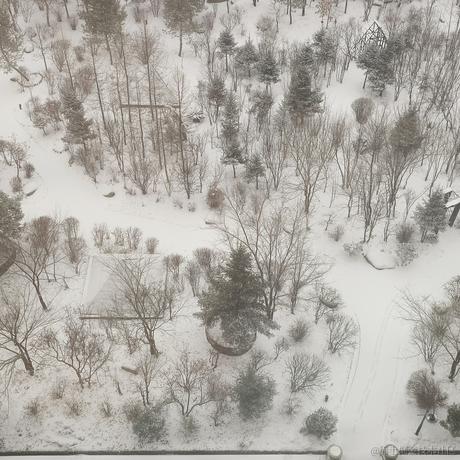 贝极星来喽于2022-11-19 13:15发布的图片