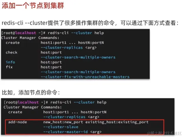 image-20221016135012025