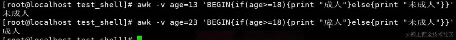 image-20240203140233114