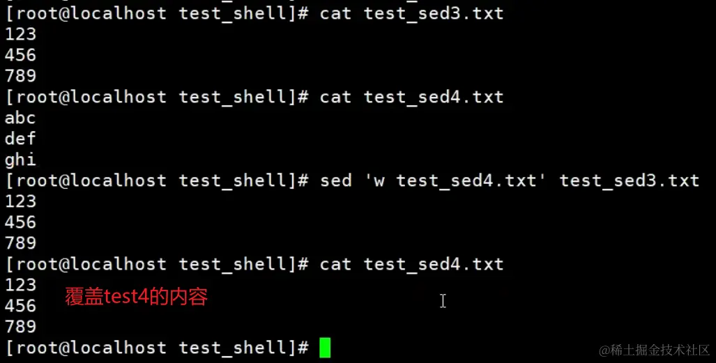 image-20240203120846835