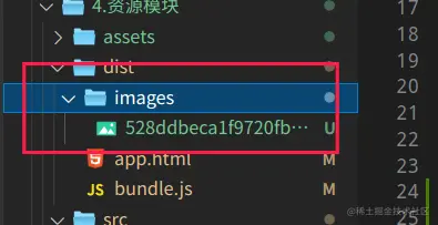 image-20220504101331629