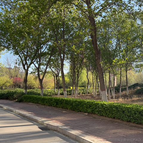 秋妈于2023-04-07 20:02发布的图片