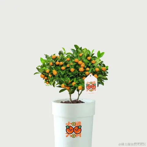 沸点小助手于2023-01-11 11:36发布的图片
