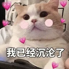 我已经沉沦了 (2).gif