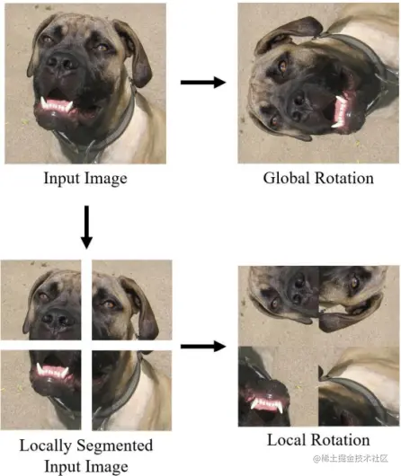 An example of Global and Local Rotation Image