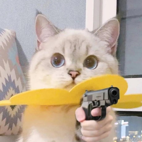 坏孩子的天空于2022-02-23 18:09发布的图片