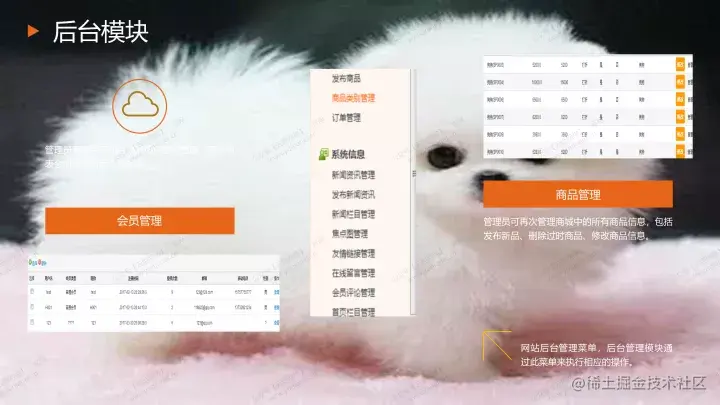基于java的宠物网站设计与实现的论文PPT源码（包调试运行成功）